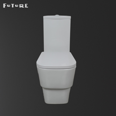 Podwójny spłukiwanie 3L 6L Umywalka typu WC Podłogowa Wc Łazienka Sanitarna